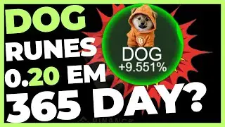 DOG GO TO THE MOON 20 BILHÕES EM 12 MESES?