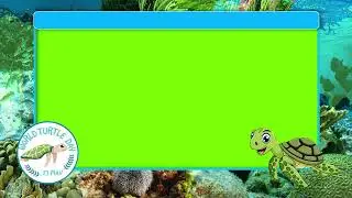 world turtle Day 23 May Green Screen No Copyright