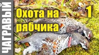 Secrets of hunting grouse from Russia - 1.