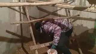 кормим курей,моем посуду.