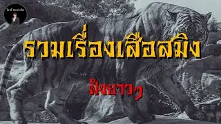 โอวตี่คนเล่าเรื่อง | รวมเรื่องเสือสมิง ฟังยาวๆ