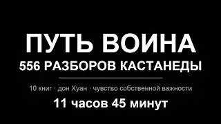 Путь воина — 556 разборов Кастанеды | дон Хуан, ЧСВ, безупречность