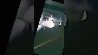 #зимовка