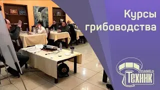 Обучение выращиванию грибов вешенка