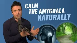 Improve Your Amygdala Health With This Simple Act