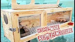 Making a Bearded Dragon Enclosure DIY | Terrarium for Bearded Dragon.