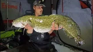 My Journey to Break My World Record Burbot, The Final Episode.  Ice Camping, YouTube WRecord burbot