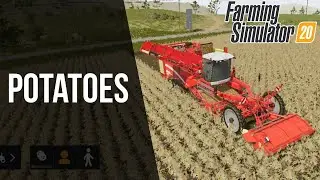 How to make Potatoes in Farming Simulator 20 | Farming Tutorial