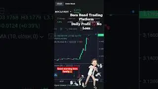 Bora Band trading platform contact me #boraband #tradingplatforms  #trading #cryptocurrency