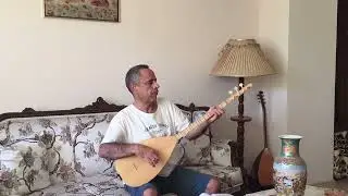Al Almayı Daldan Al-Murat Yılmaz Mu
