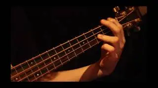 Thrown It All Away - Headwaiter (bass cover)