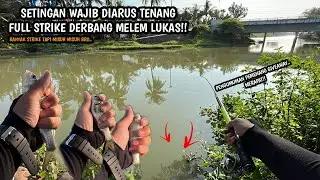 BANYAK STRIKE TAPI HARI INI FULL MISUH MISUH!! Mancing wader dan melem umpan lumut teknik kumbul