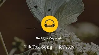 TikTok Song  – RYYZN (No Copyright Music)