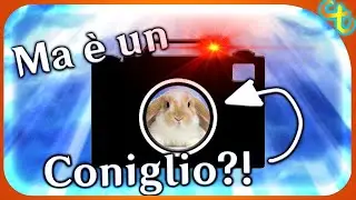 PASSIONE FOTOGRAFIA - (non è vero non mi piace così tanto)