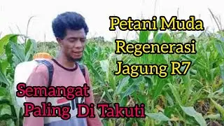 Part II Petani Milineal Regenerasi.
