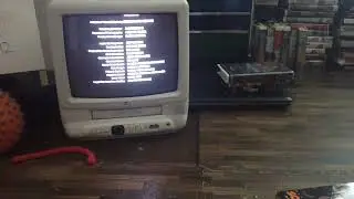 Closing Down To Son In Law 1995 VHS