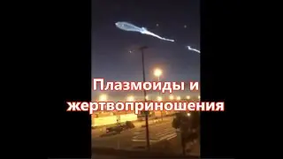 Плазмоиды и жертвоприношения #1544