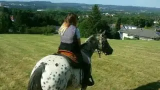 Mein Pferd, mein Leben!♡ Du fehlst mir♡