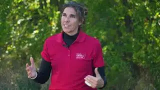 Turfgrass IPM – Monitoring & Overview