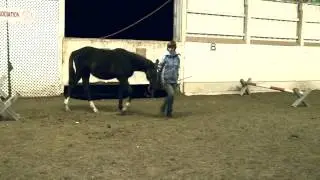 Brash Nov  14 2013