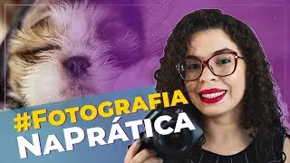 ENSAIO FOTOGRÁFICO PET NEWBORN | Fotografando um baby shih tzu #FotografiaNaPrática