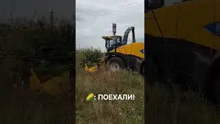 Кукуруза 🌽 поехали!
