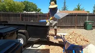 Mulch before it gets too hot!