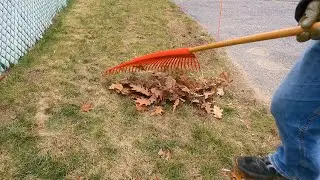 Extra Small Leaf Cleanup - Mid December