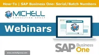 How-To | SAP Business One: Serial/Batch Numbers