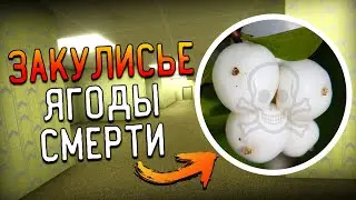 Закулисье - Ягоды Смерти | The Backrooms