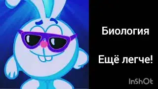 Моё отношение к урокам