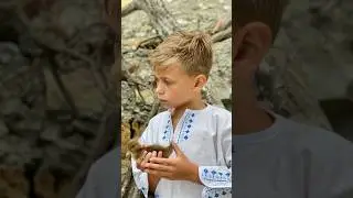 Утиные истории 💛 