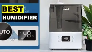 Best Humidifier || Levoit Classic 300S Humidifier || Ideal for Houseplants