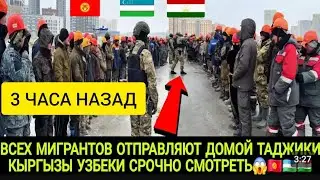🤬БО ДЕПОРТАЦИЯ КАДЕСТИЯН ХАМАРА ТОЧИКО УЗБЕКО ЭХТИЁТ КУНЕН ХУДО НИГАХБОНТОН🙏👍