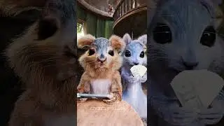 POV: It's the start of the month.🐿 