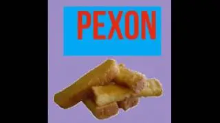 MINI INTRO FOR PEXON