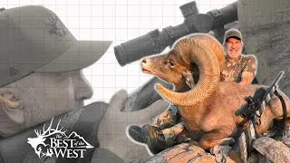 DESERT BIGHORN OF SONORA  (170