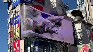 猫好きな方へ！ クロス新宿ビジョンが「3D猫ちゃんねる」になっておりました。2021年12月15日撮影。
