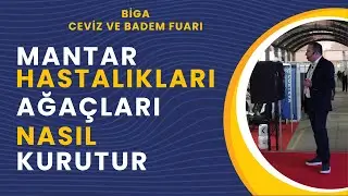 Mantar Hastalıkları Ağaçları Nasıl Kurutur ?
