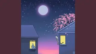 Sunset Wife