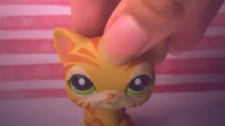 Lps mv: A new kind of love
