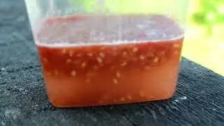 Сбор семян