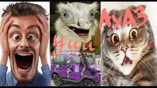 ЛуАЗ ЖЕСТЬ у стилі WEEE .