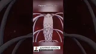 Что общего у Царства Падальщиков и советских мультов?