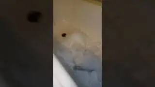 почистил барабан в стиралке