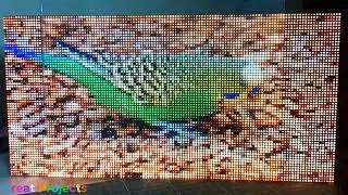 P3 128x64 RGB Matrix AnimatGif With Two Esp32 Serial Communication