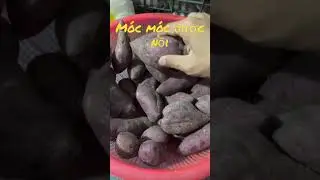 Khoai lang thang có củ rồi 