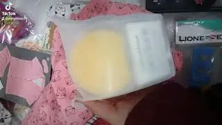 bim kedi temalı ürünler