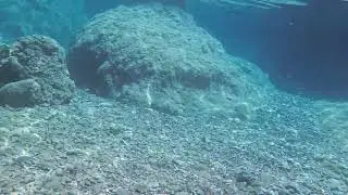 Dişlice Adası Su Altı Güzellileri.  Yer: Marmaris