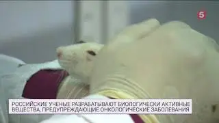 Ученые РФ разрабатывают биологически активные вещества против онкозаболеваний